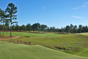 Tree Farm 10th